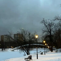 Overcast February Sky