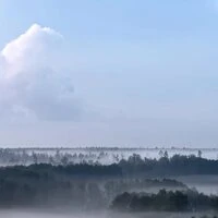Fog Bench