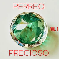 Perreo Precioso Vol. 1