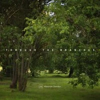 Through the Branches