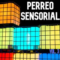 Perreo Sensorial Vol. 3