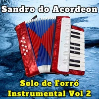 Solo de Forró Instrumental Vol 2
