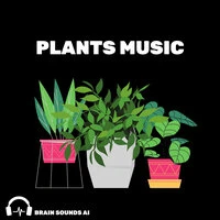 Plants Music