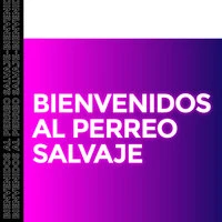Bienvenidos al Perreo Salvaje