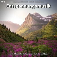 #01 Entspannungsmusik zum Schlafen, für Chillout sowie für Geist und Seele