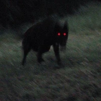 PREDATOR