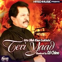 Teri Yaad