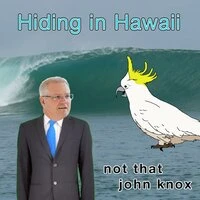 Hiding in Hawaii
