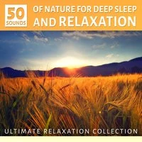 Sounds of Nature for Deep Sleep and Relaxation: Ultimate Instrumental Music Collection, Ocean Waves, Sound of the Forest Ambience and Birds - Yoga Meditation