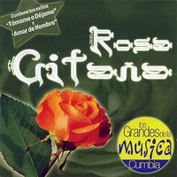 Rosa Gitana