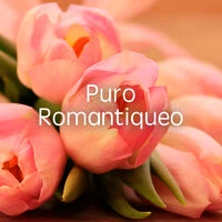Puro Romantiqueo