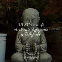 35 Música de Ambiente Relajante y Relajada