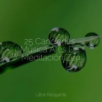 25 Canciones Música Ales De Meditación Zen