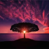 Sounds of Nature | Powerful Music | Relaxation