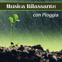 Musica rilassante con pioggia – Natura zen e rumore della pioggia