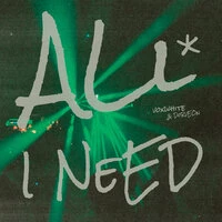 ALL I NEED