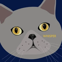 WHISPER