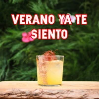 Verano ya te siento