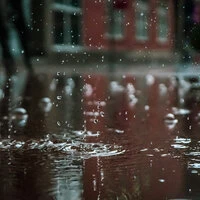 Spring Rain Sounds: Spring Tracks for Peace and Tranquility