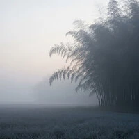 Khloy Stillness, Vol. 3 — Before the First Light