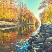 Music for Relaxing Moods - Guitar