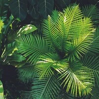 Sounds of Nature | Fantastic Relaxation