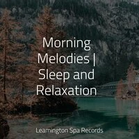 Morning Melodies | Sleep and Relaxation