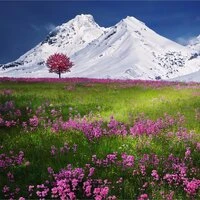 25 Peaceful Tracks to Relax and Insomnia Cure