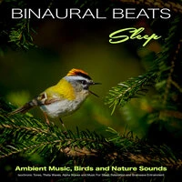 Binaural Beats Sleep - Ambient Music, Birds and Nature Sounds - Isochronic Tones, Theta Waves, Alpha Waves and Music For Sleep, Relaxation and Brainwave Entrainment