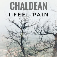 I Feel Pain