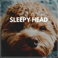 Sleepy Head