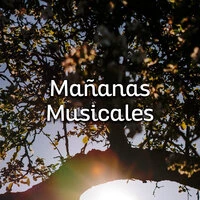 Mañanas Musicales