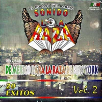 20 Éxitos, El coloso del barrio, Sonido La Raza, Vol.2 "De México para la raza de New York"