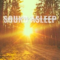 Sound Asleep: Empty Forest Path Daytime Ambience