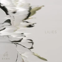 Lilies