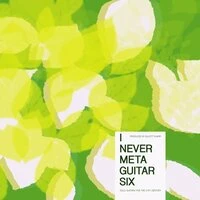I Never Metaguitar Six
