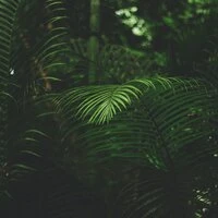 40 Light and Calm Recordings for Relaxing at the Spa