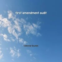 first amendment audit