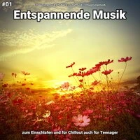 #01 Entspannende Musik zum Einschlafen und für Chillout auch für Teenager