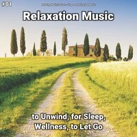 #01 Relaxation Music to Unwind, for Sleep, Wellness, to Let Go