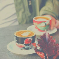 Feelings for Organic Cafes