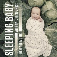 Sleeping Baby with Nature Sounds – New Age Music for Nap, Time Before Sleep and Peaceful Night
