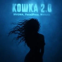 Кошка 2.0