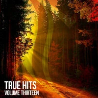 True Hits, Vol. 13