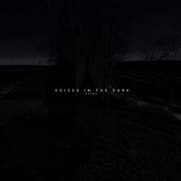 Voices in the Dark