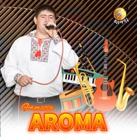 Muzica Moldoveneasca cu Formatia Aroma
