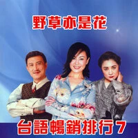 放捨你我心嘸甘
