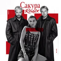 Сакура