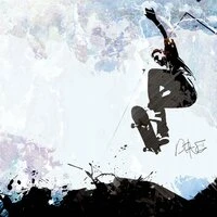On Sk8-Hi's