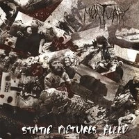 Static Pictures Bleed